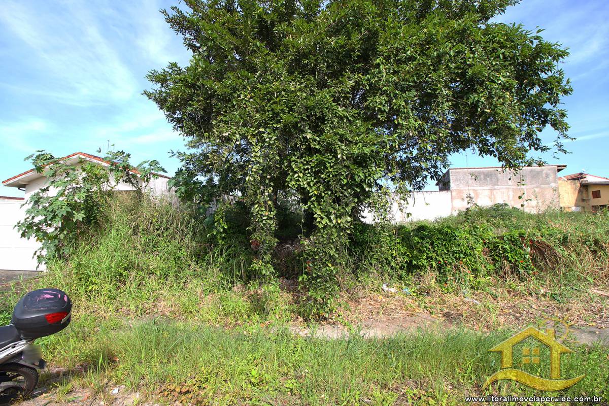 Terreno no bairro Oásis, Lado Linha